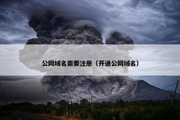 公网域名需要注册（开通公网域名）