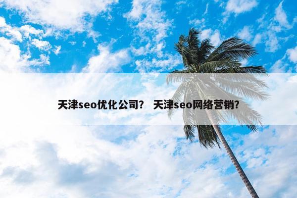 天津seo优化公司？ 天津seo网络营销？
