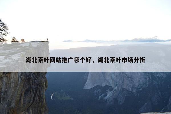 湖北茶叶网站推广哪个好，湖北茶叶市场分析