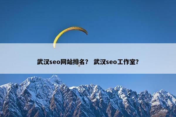 武汉seo网站排名？ 武汉seo工作室？