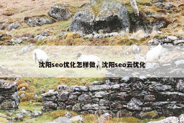 沈阳seo优化怎样做，沈阳seo云优化