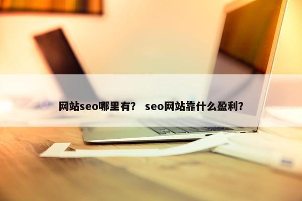网站seo哪里有？ seo网站靠什么盈利？