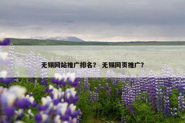 无锡网站推广排名？ 无锡网页推广？