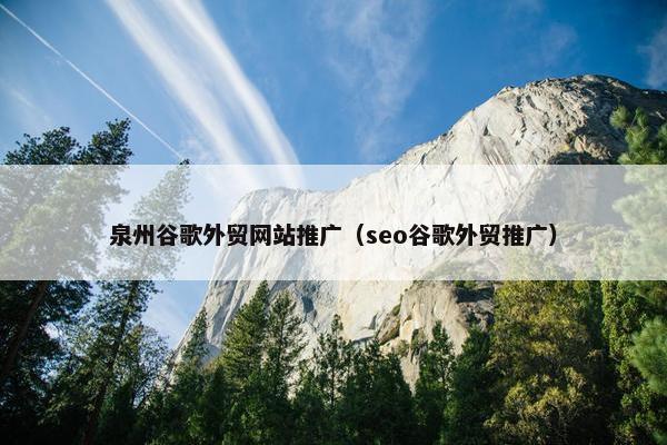 泉州谷歌外贸网站推广（seo谷歌外贸推广）