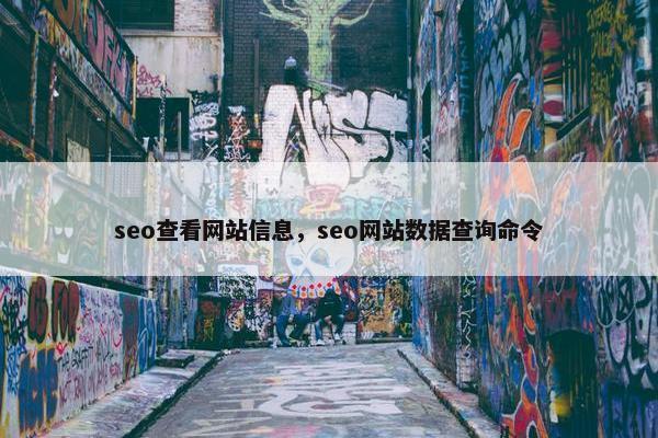 seo查看网站信息,seo网站数据查询命令 seo查看网站信息,seo网站数据查询命令