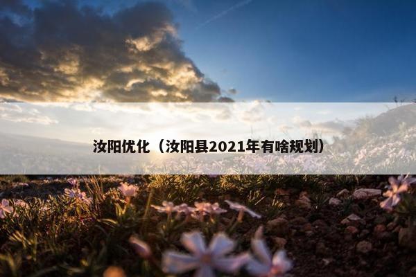汝阳优化（汝阳县2021年有啥规划）