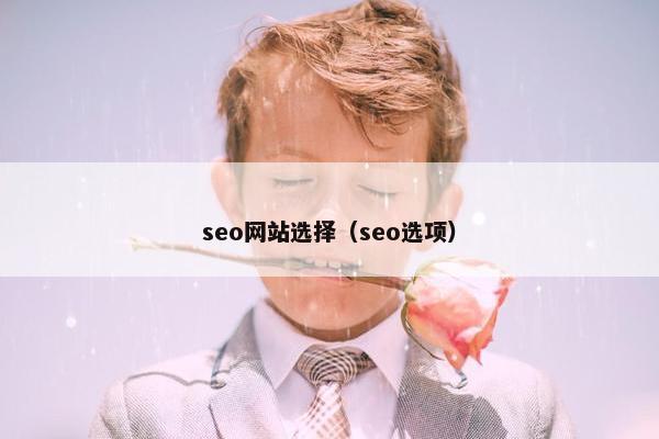seo网站选择（seo选项）