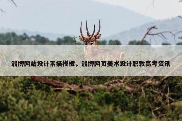 淄博网站设计素描模板，淄博网页美术设计职教高考资讯