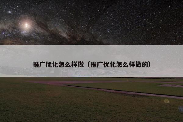 推广优化怎么样做（推广优化怎么样做的）